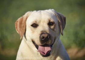 Nash-2-years-cabeza24