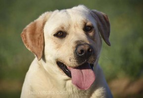 Nash-2years-cabeza12