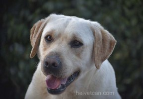 Nash-2years-cabeza37