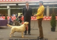 INTERNATIONAL DOG EXHIBITION GIRONA 2015