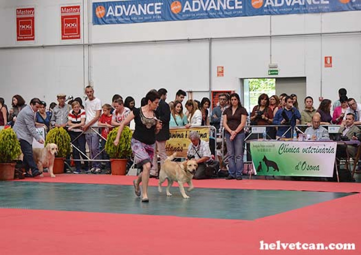 NATIONAL CHAMPIONSHIP SHOW IN VIC 2014