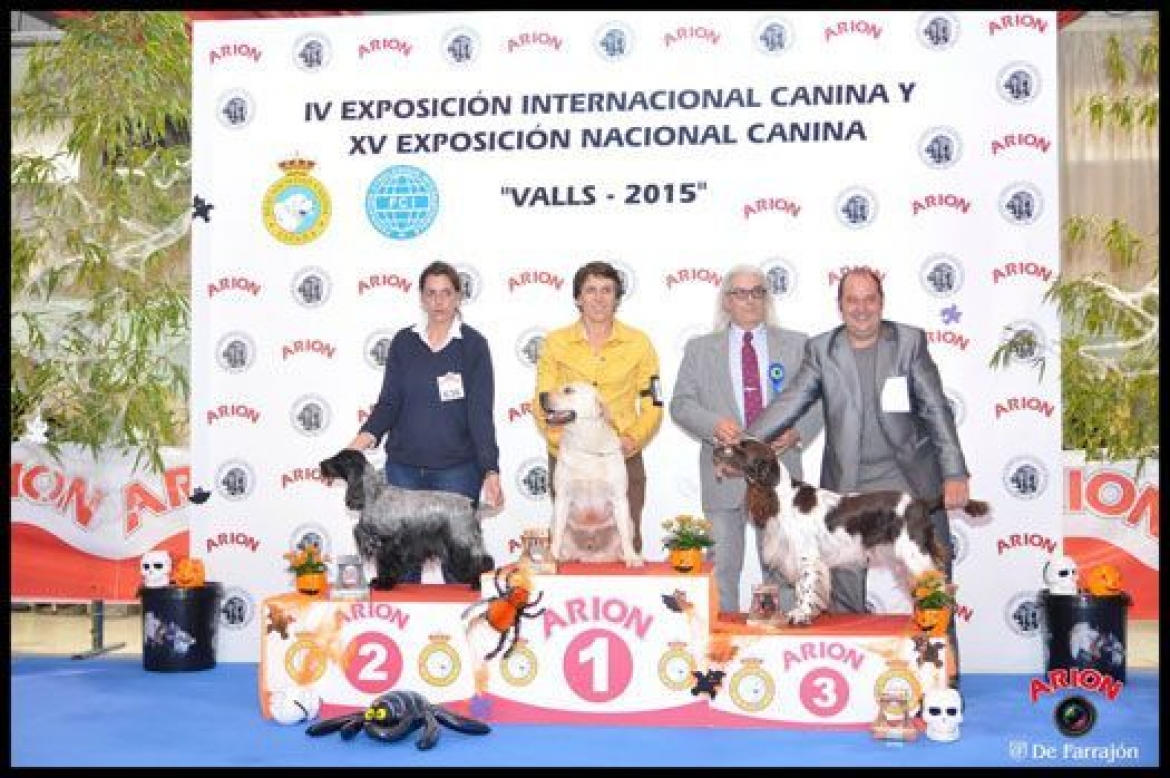 EXPOSICIÓN INTERNACIONAL CANINA DE VALLS 2015