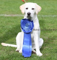 HELVET CAN DANCING STAR