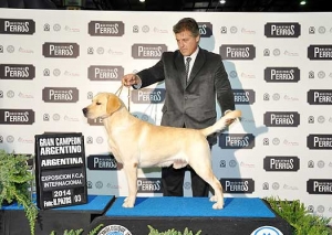 HELVET CAN USAK &quot;BIGOTES&quot;