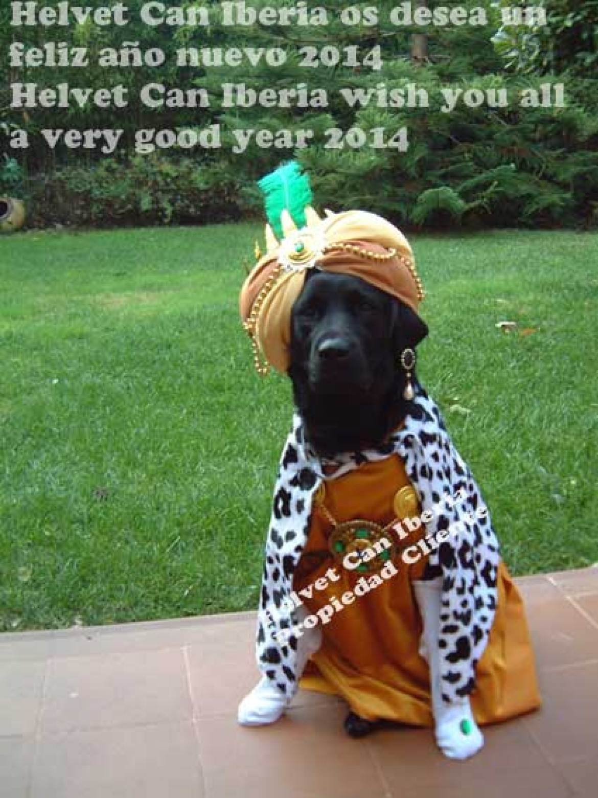 HAPPY END OF THE YEAR 2014