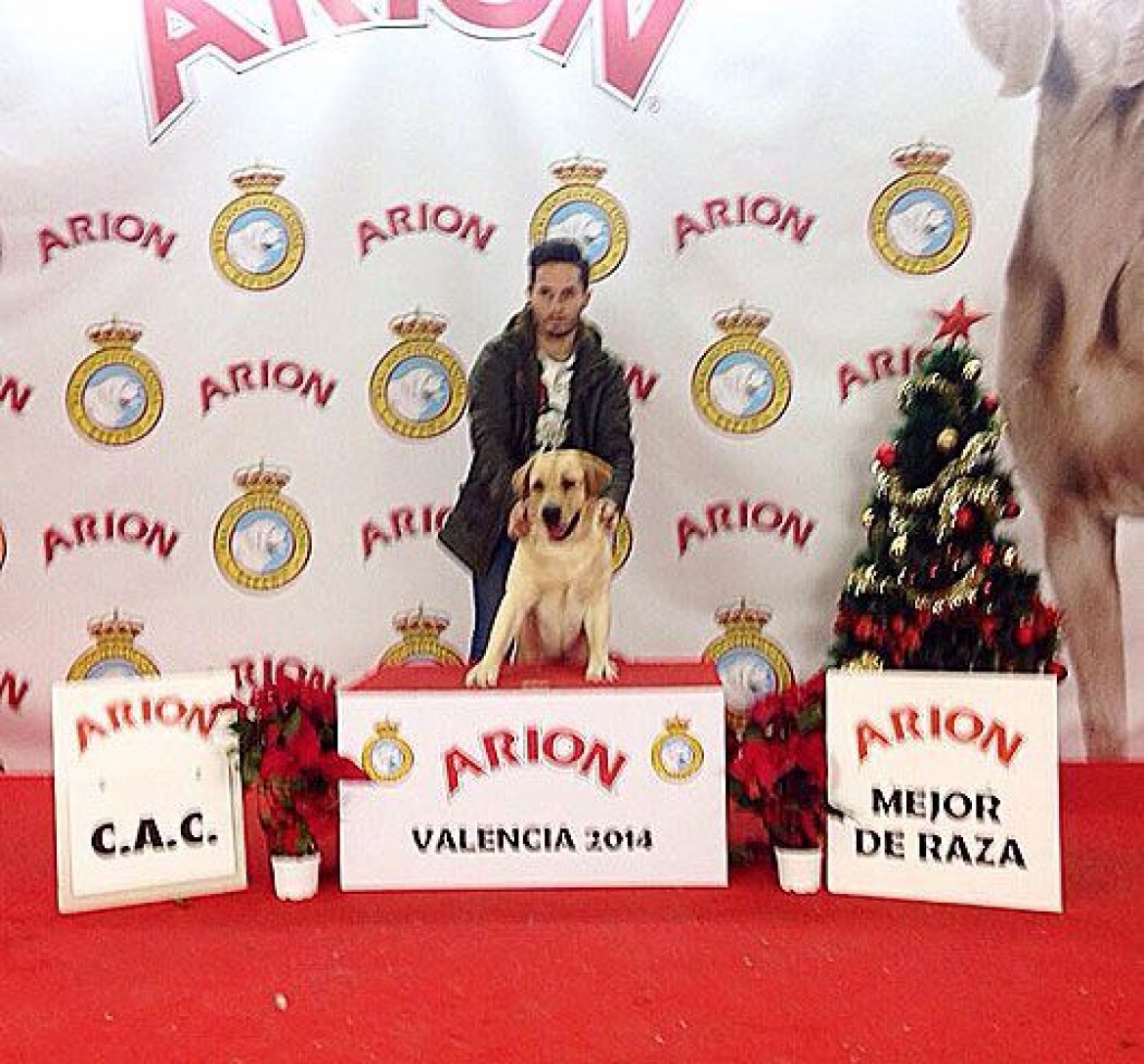 HELVET CAN KANDINSKY