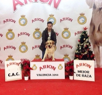 HELVET CAN KANDINSKY