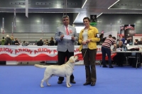 INTERNATIONAL EXHIBITION OF BILBAO (OBLIGATORY POINT)