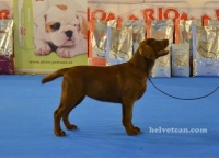 EXPOSICIÓN INTERNACIONAL CANINA VALLS 2014