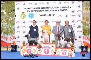 INTERNATIONAL DOG EXHIBITION OF VALLS 2015