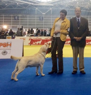 NEW CHAMPION ON HELVET CAN