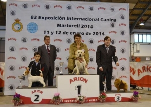 BARCELONA CHAMPIONSHIP SHOW 12.01.2014 IN MARTORELL