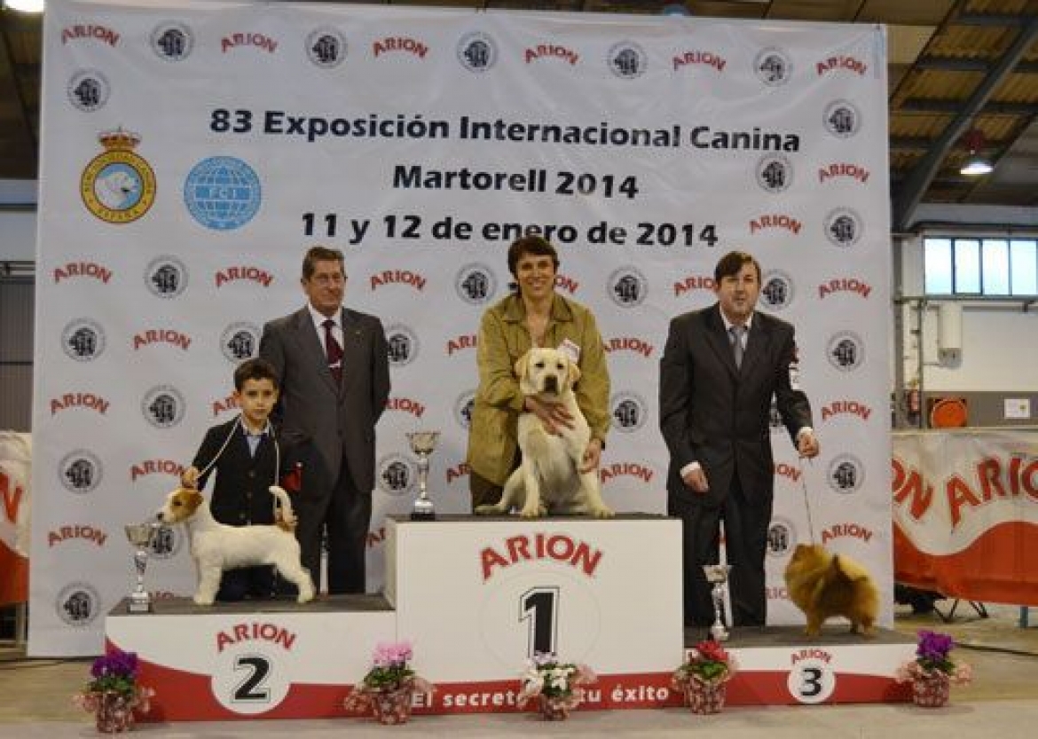 BARCELONA CHAMPIONSHIP SHOW 12.01.2014 IN MARTORELL